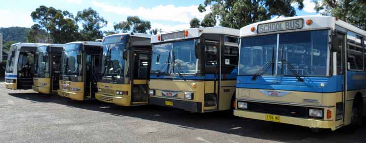 Blue Mountains Hinos at Emu Plains